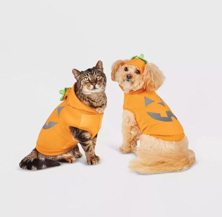 cute pet Halloween costumes