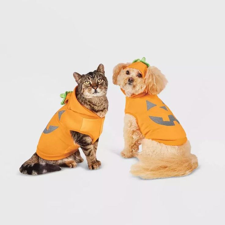 cute pet Halloween costumes