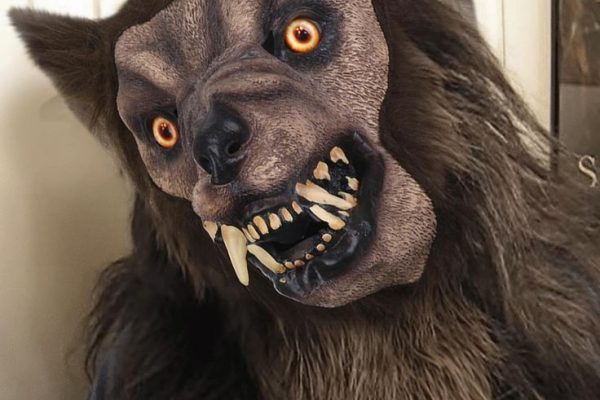 DIY werewolf costume