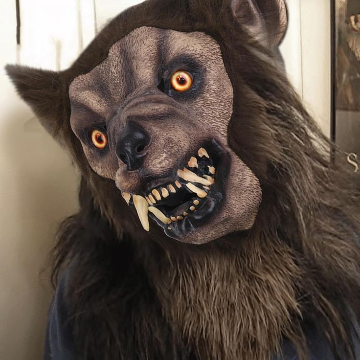 DIY werewolf costume