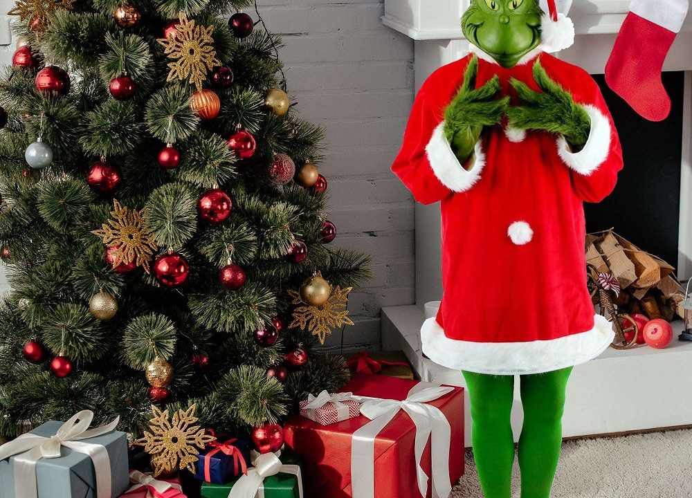 grinch costume