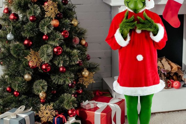 grinch costume