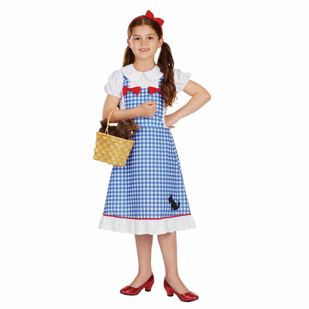 dorothy costume