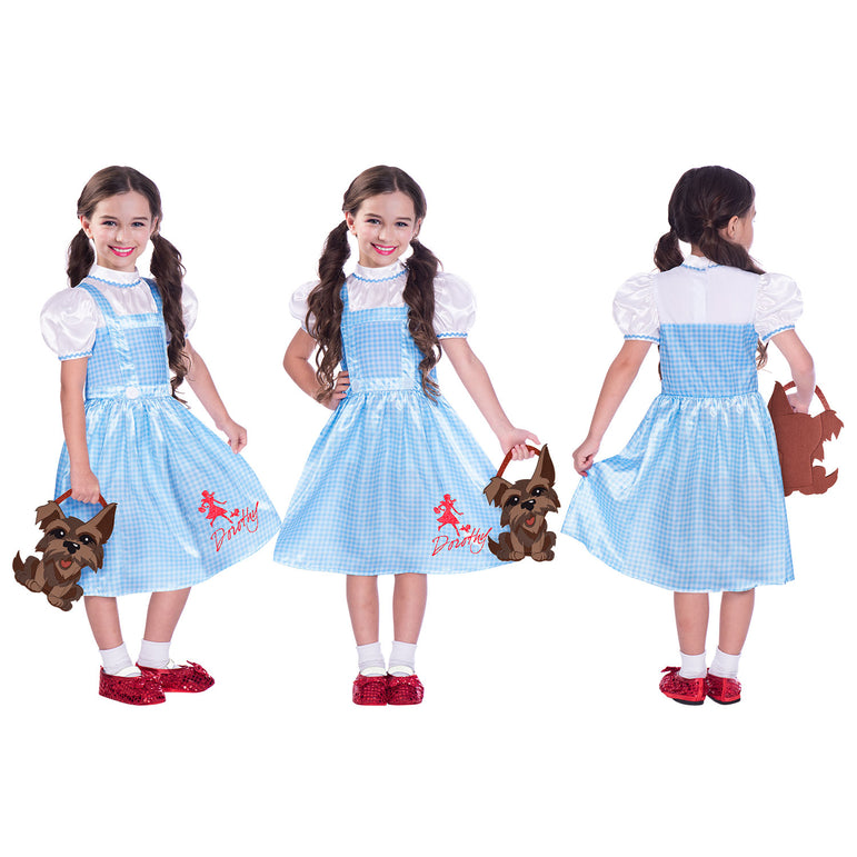 dorothy costume