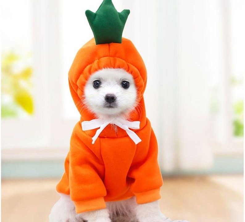 dog costumes