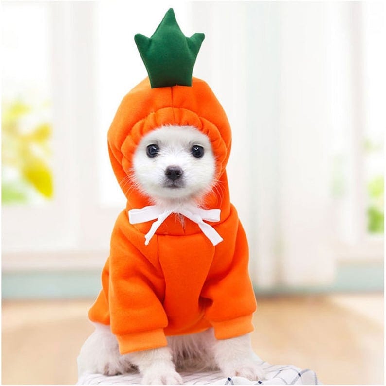 dog costumes