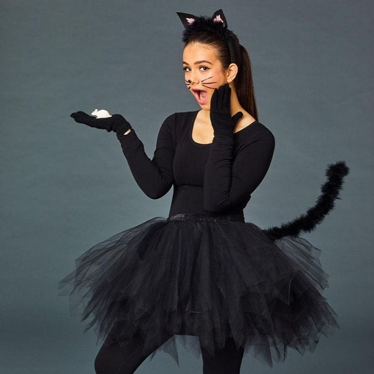 diy-cat-costumes