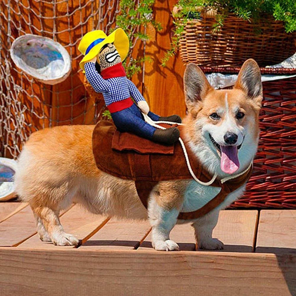 dog costumes