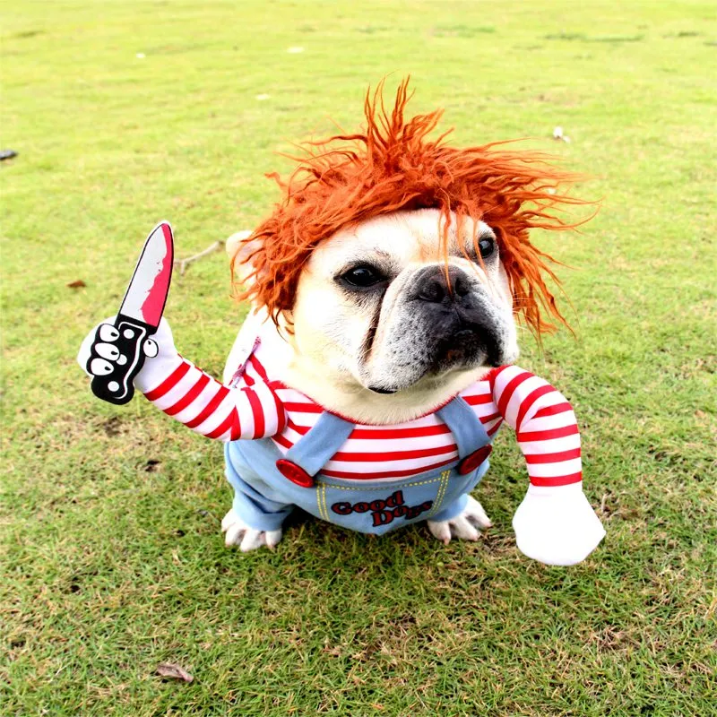 dog halloween costumes
