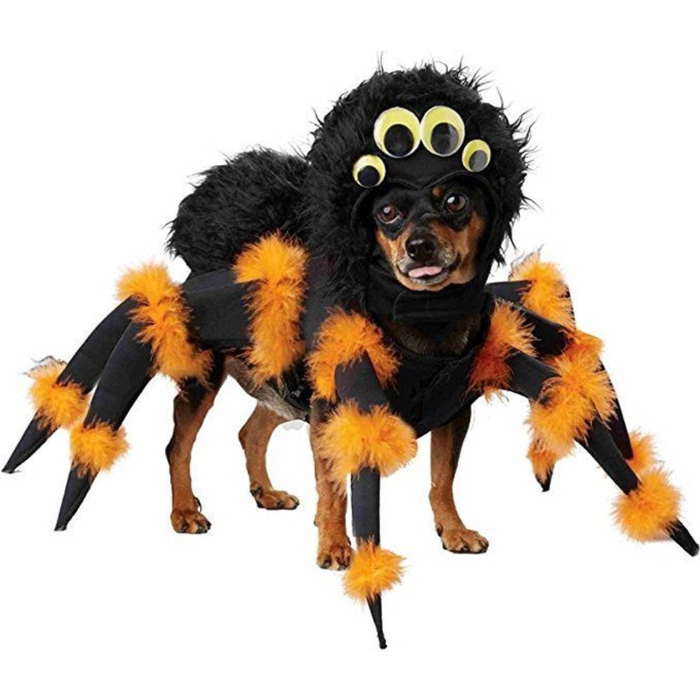halloween costumes
