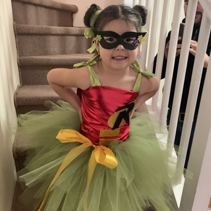 robin costume diy