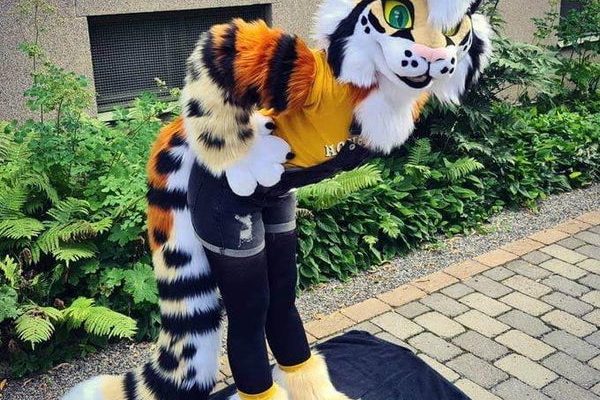 furry costumes