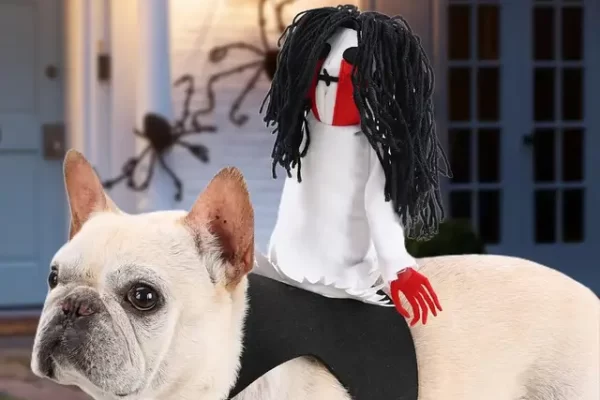 dog halloween costumes