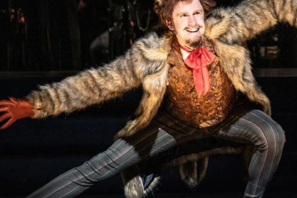into the woods wolf costume