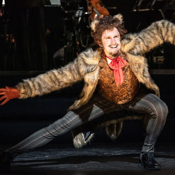 into the woods wolf costume