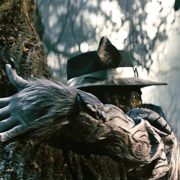 into the woods wolf costume