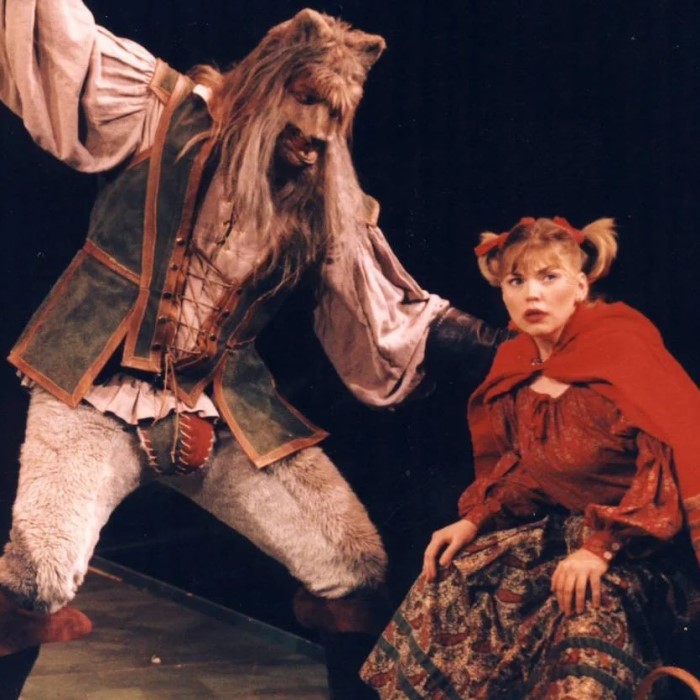 into the woods wolf costume