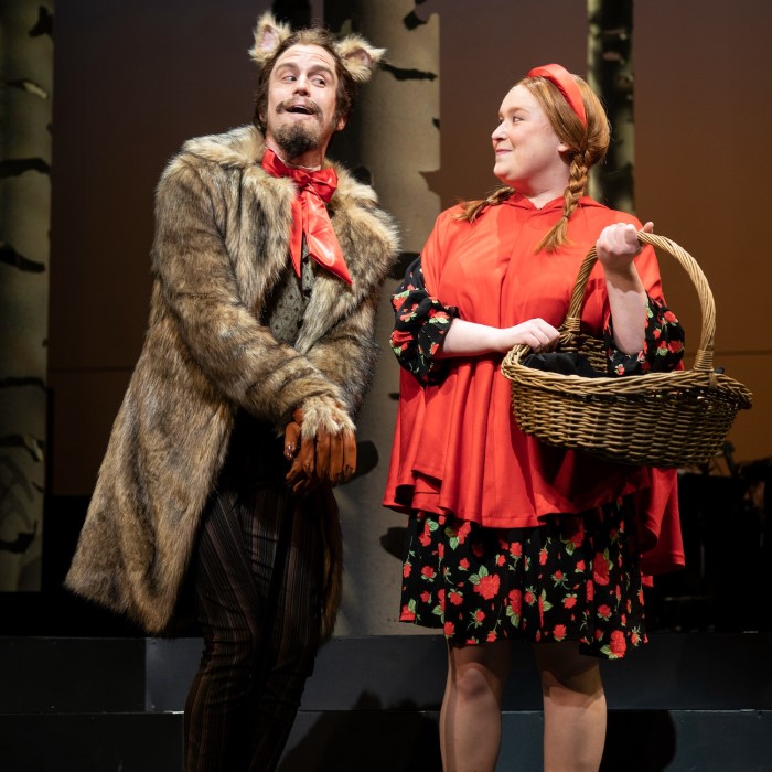 into the woods wolf costume
