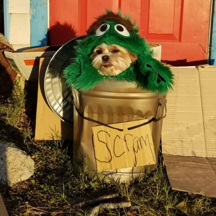 oscar the grouch diy costume