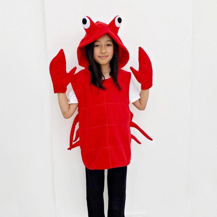 mr krabs diy costume
