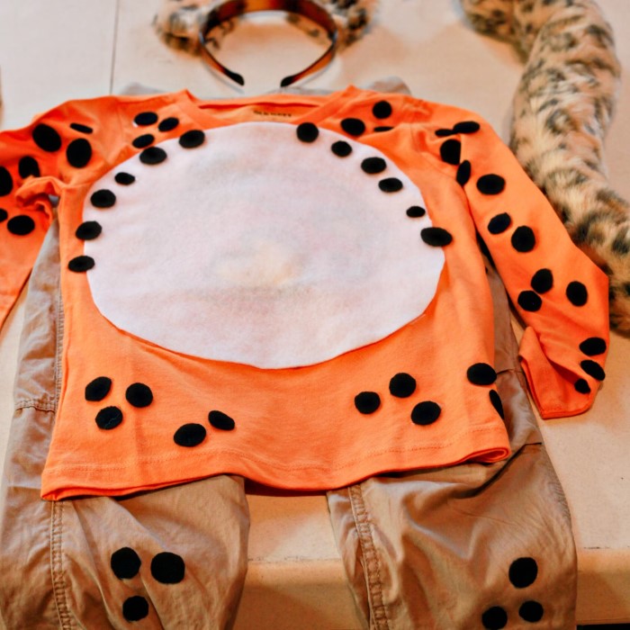 cheetah costume