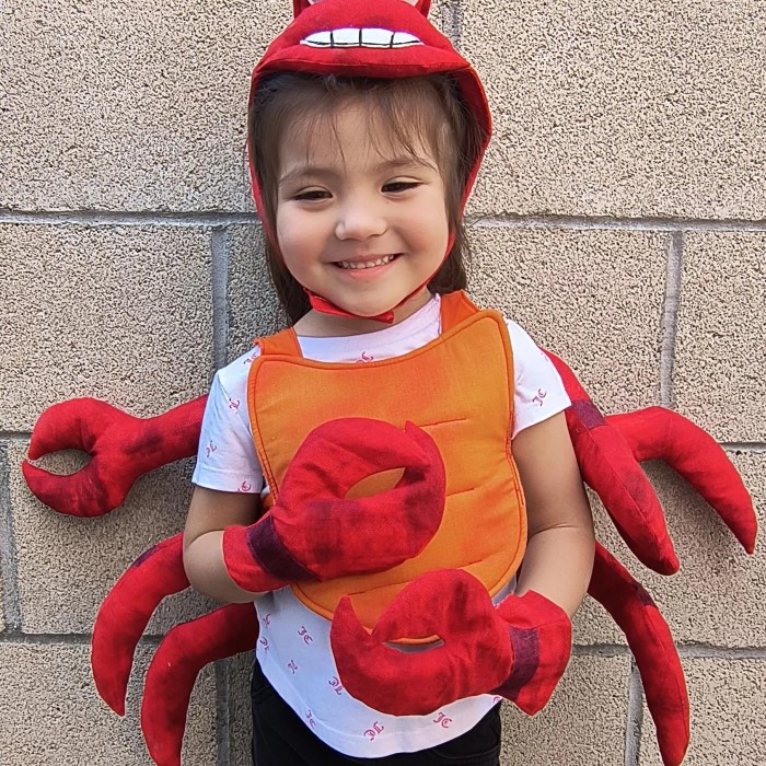 mr krabs diy costume