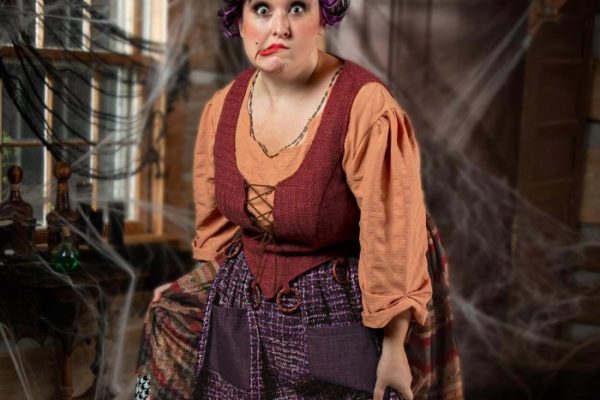 mary sanderson costume diy