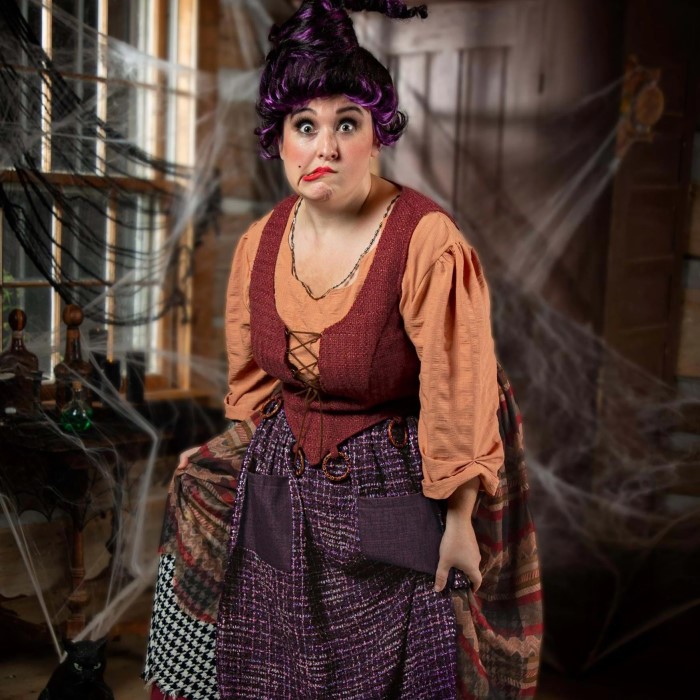 mary sanderson costume diy