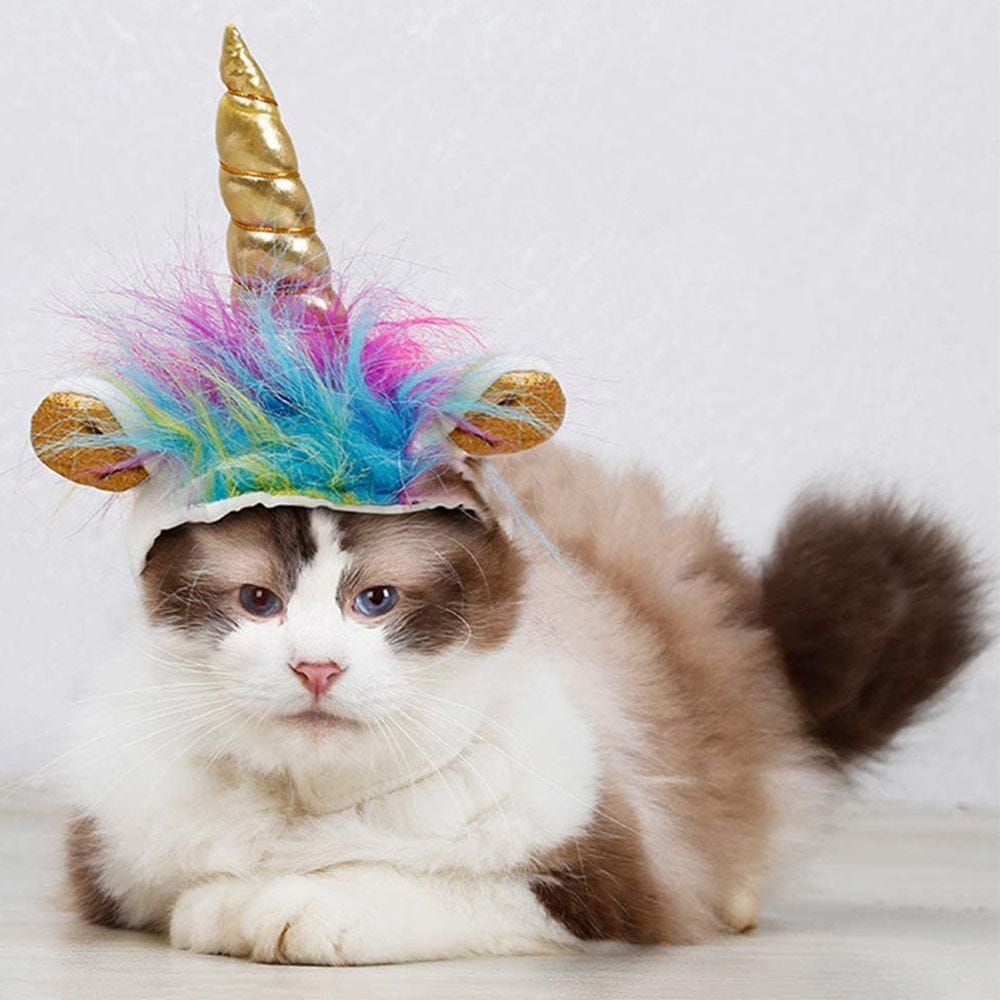 cat costumes