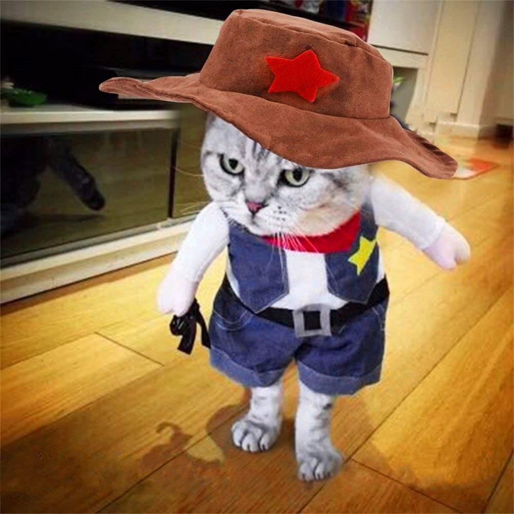 cat costumes