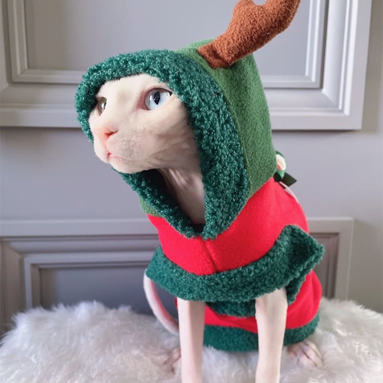 cat costumes