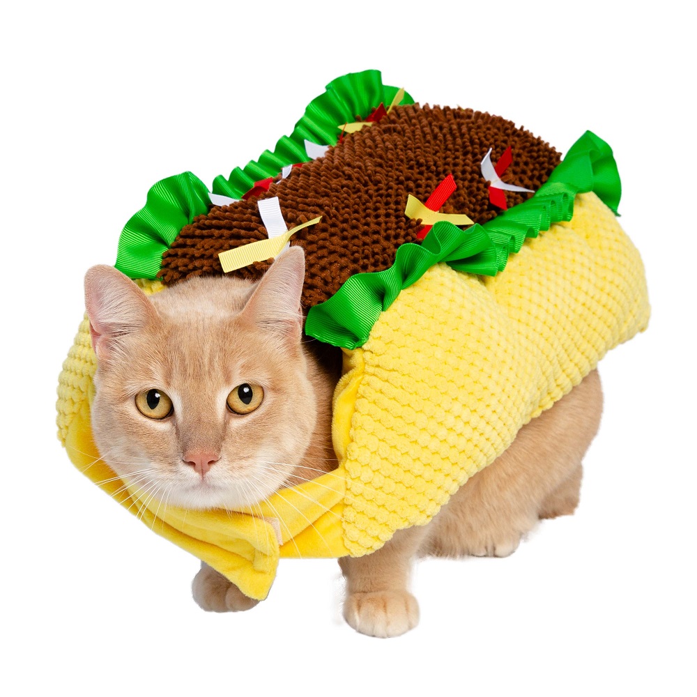 cat costumes