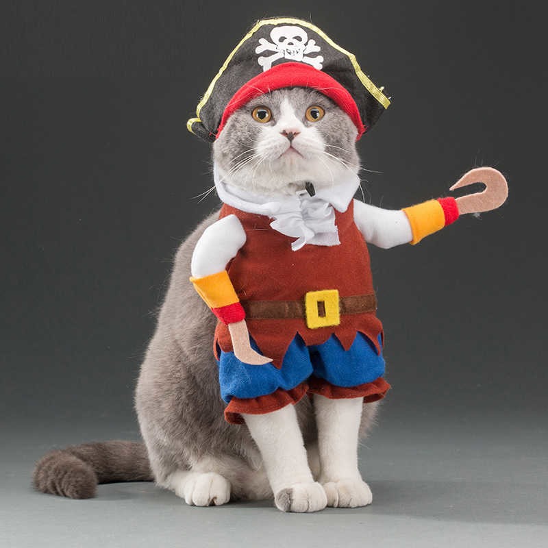 cat costumes