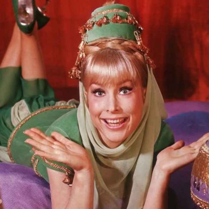 i dream of jeannie costume controversy