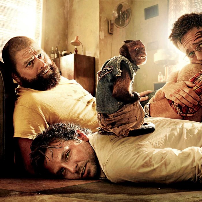 hangover dress up