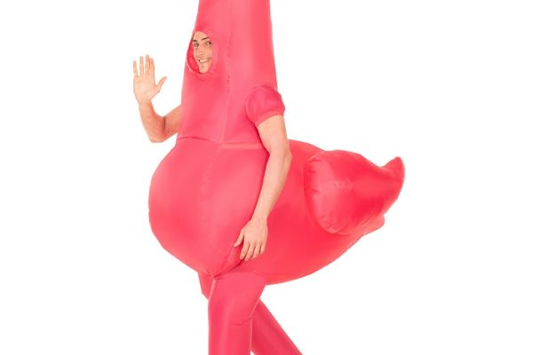 inflatable costumes