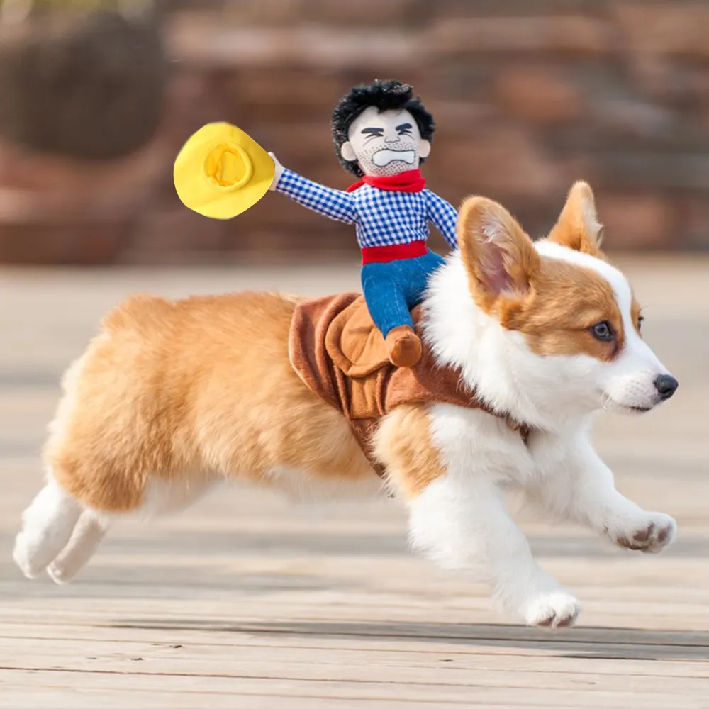 dog halloween costumes