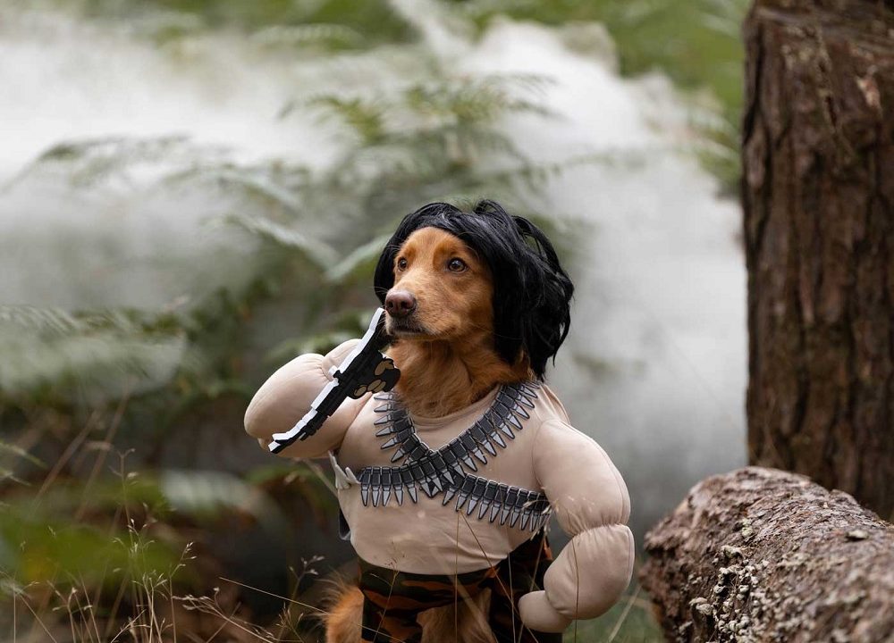 dog halloween costumes