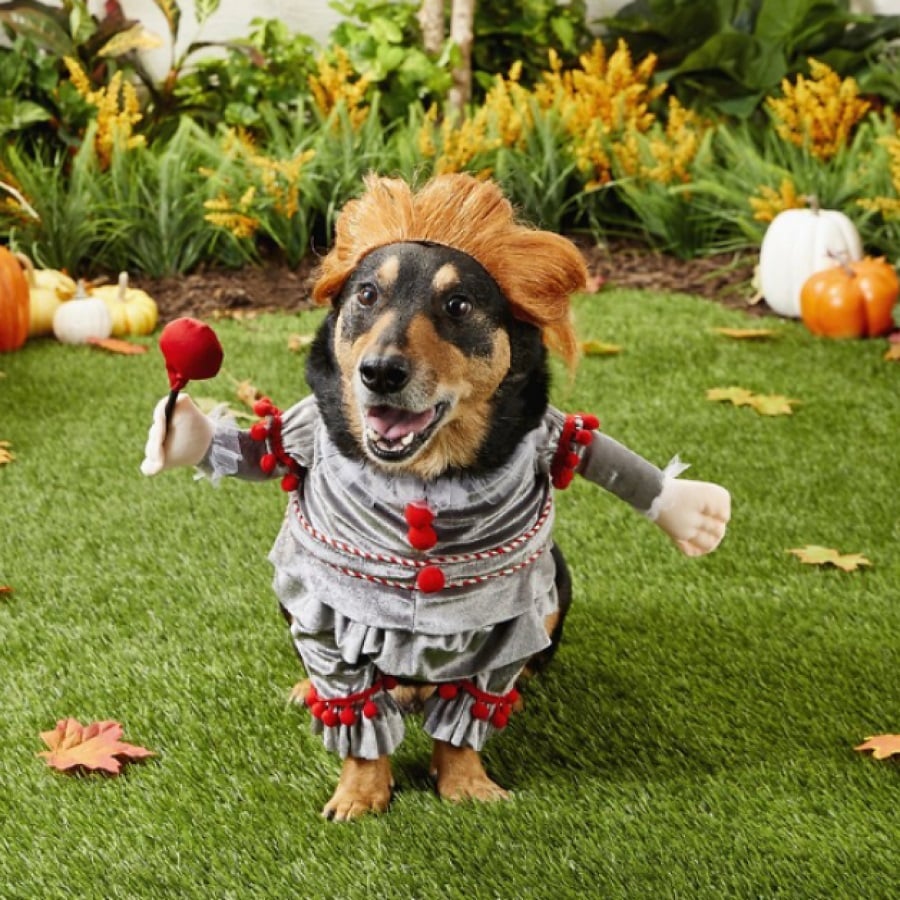 funny halloween costumes