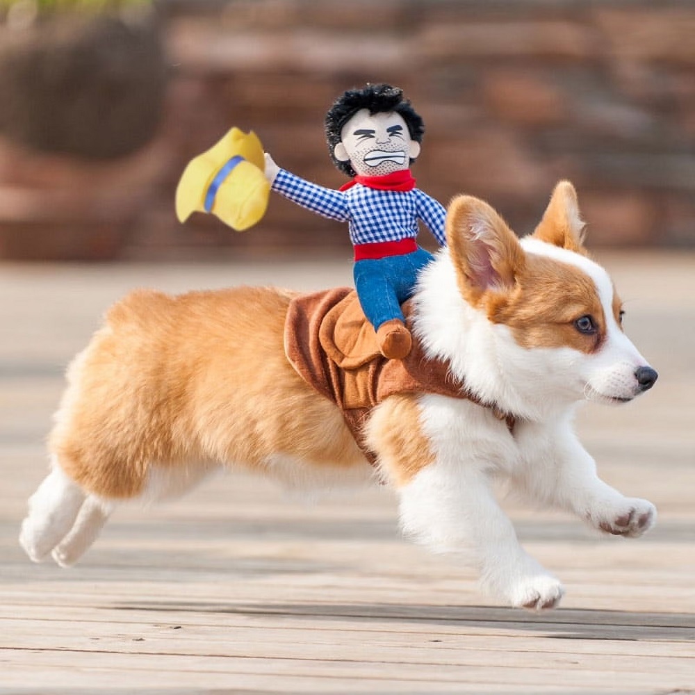 dog costumes