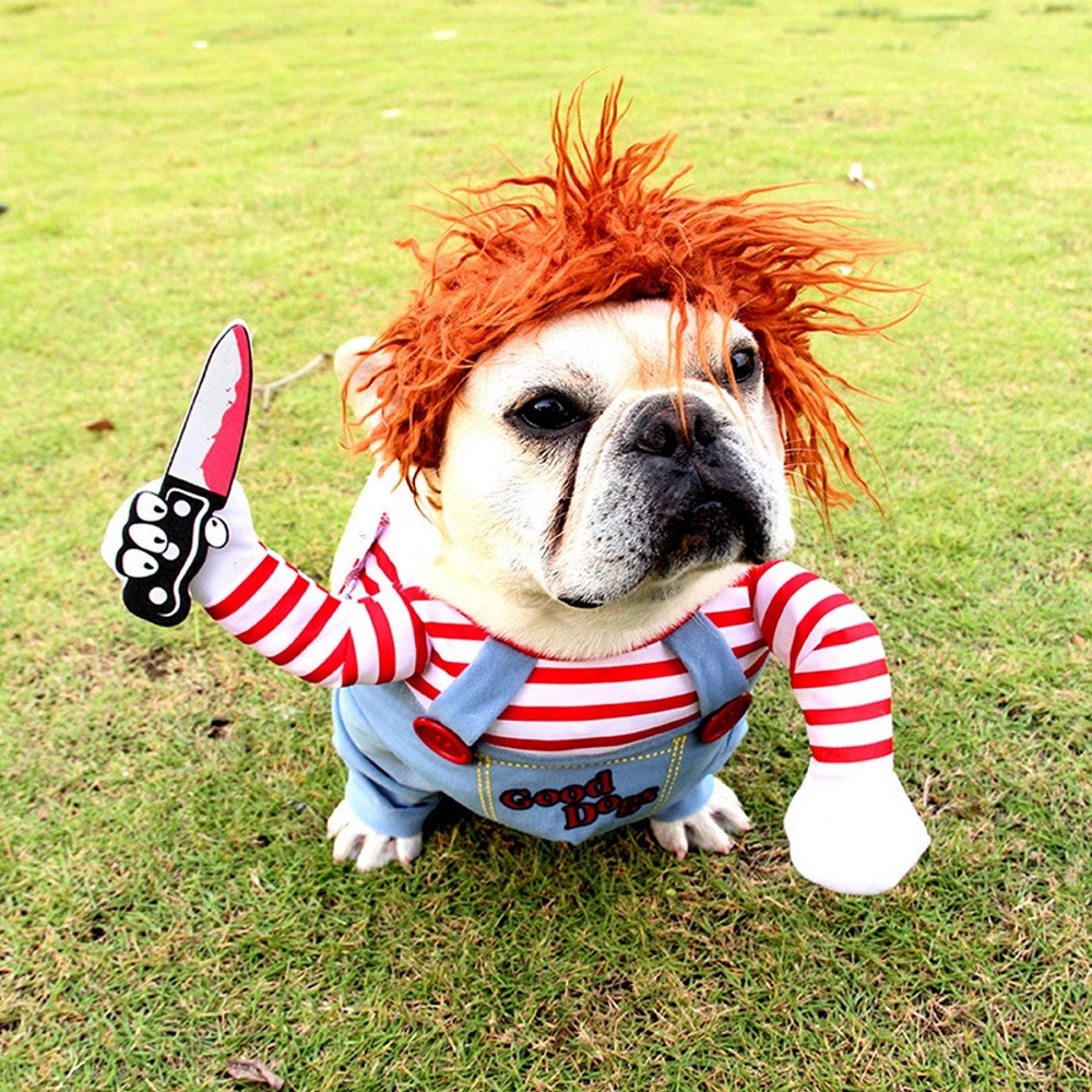 dog costumes