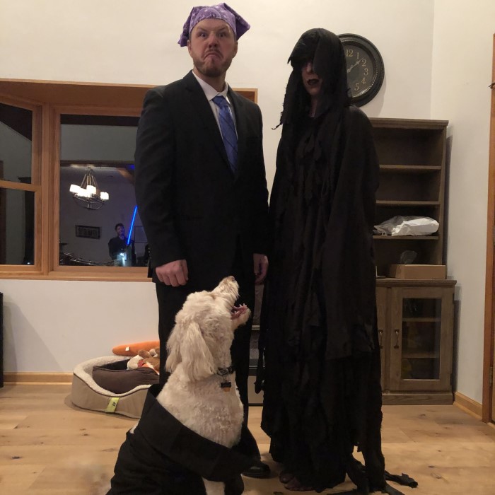 dementor costume