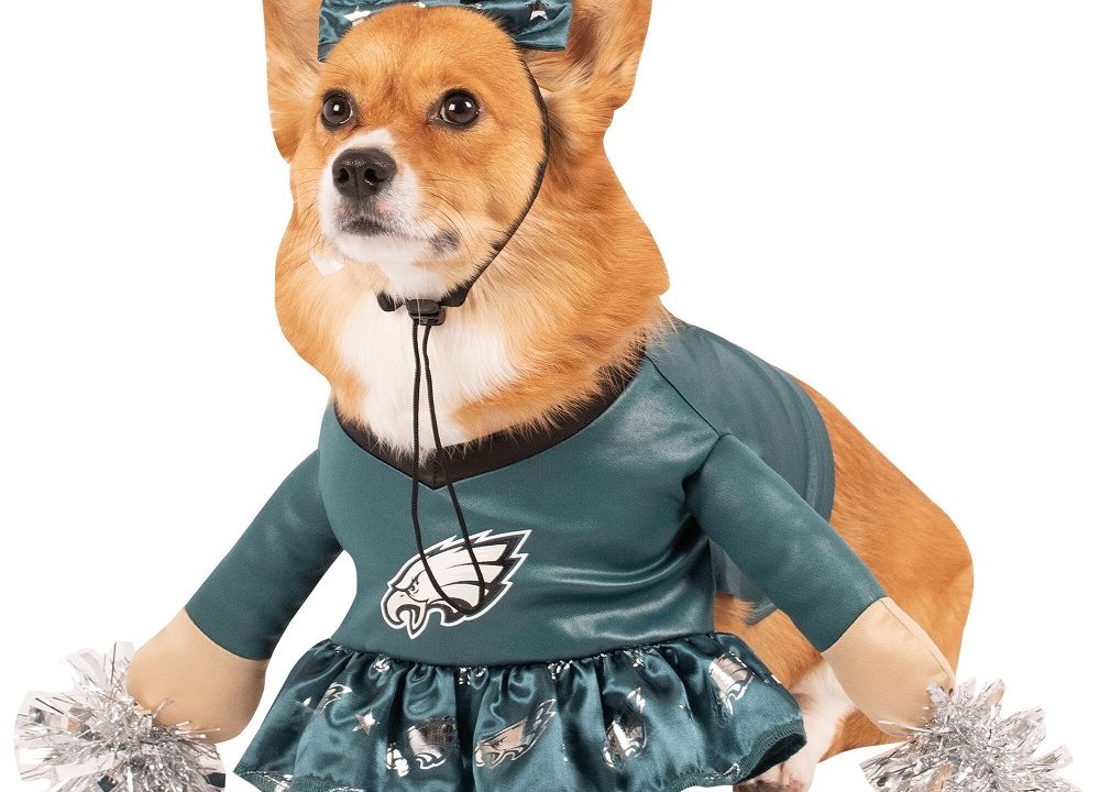 dog costumes