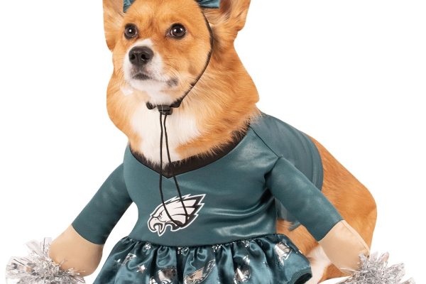 dog costumes