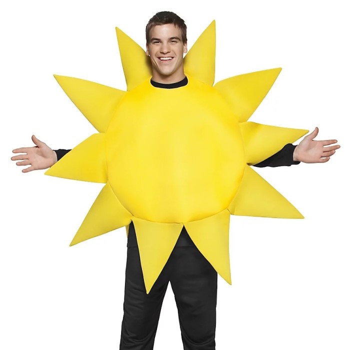 sun costume ideas