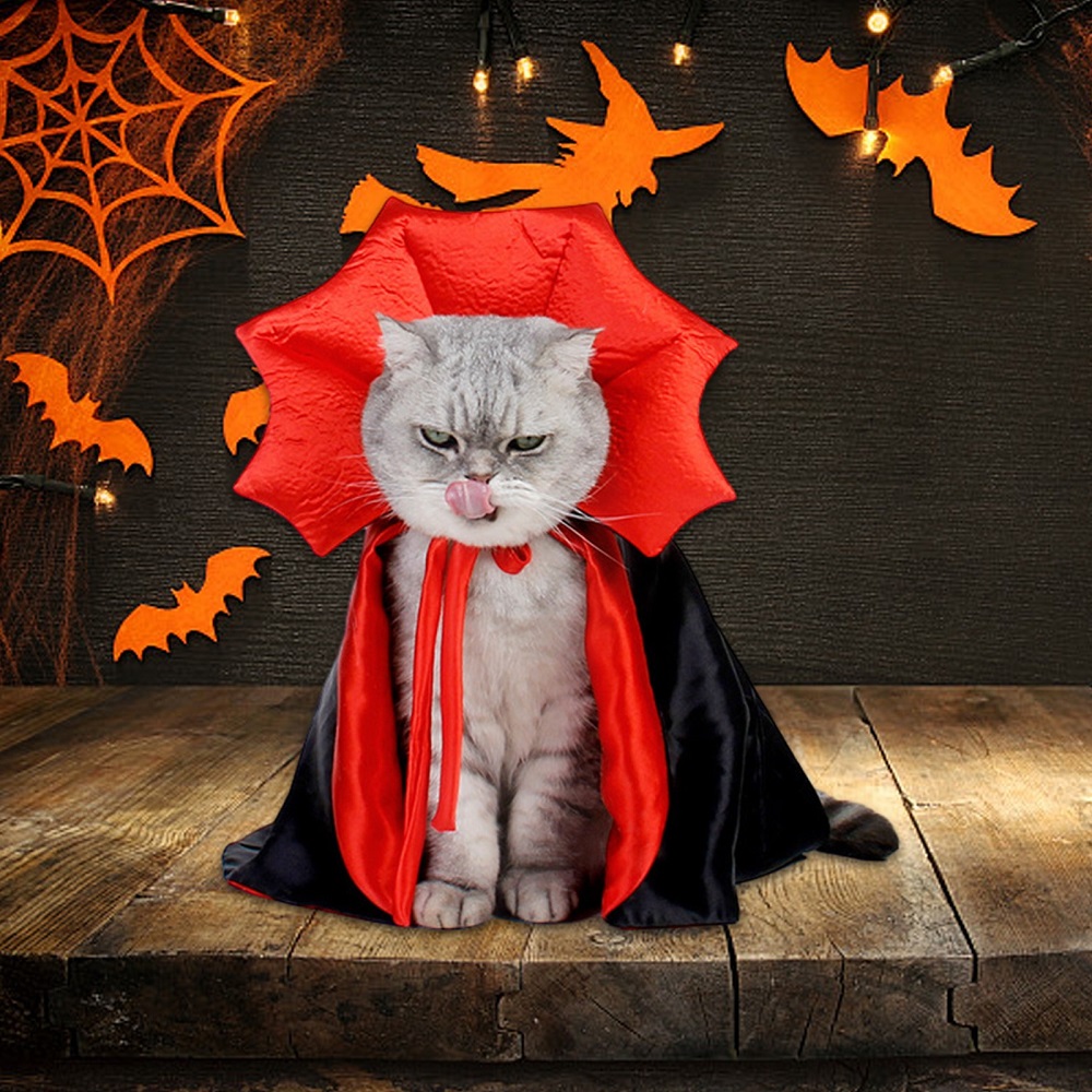 cat halloween costumes