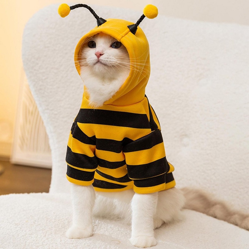 cat halloween costumes