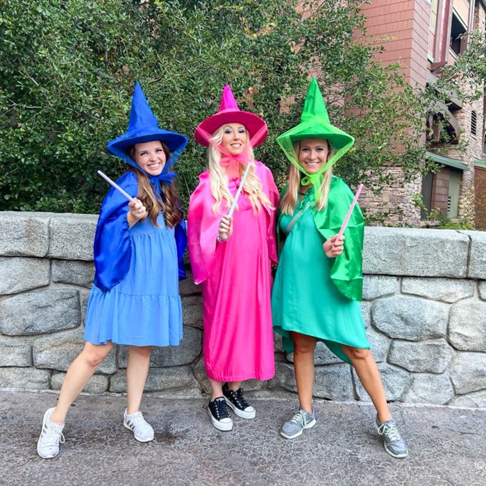 disney group costumes for 5